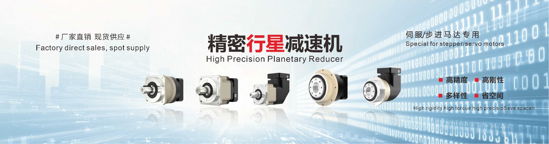Precision planetary reducer