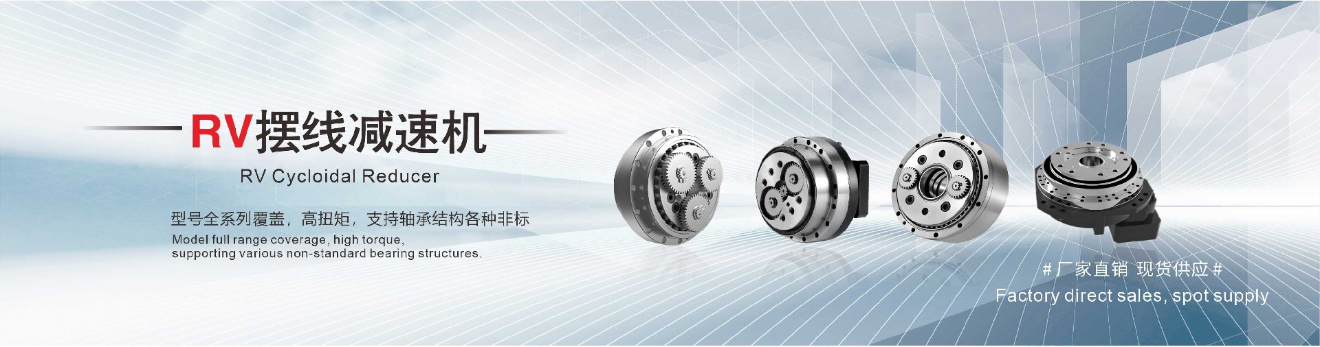 Precision planetary reducer